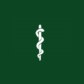 Transpersonal Medicine